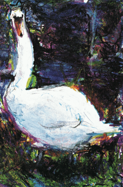 Swan