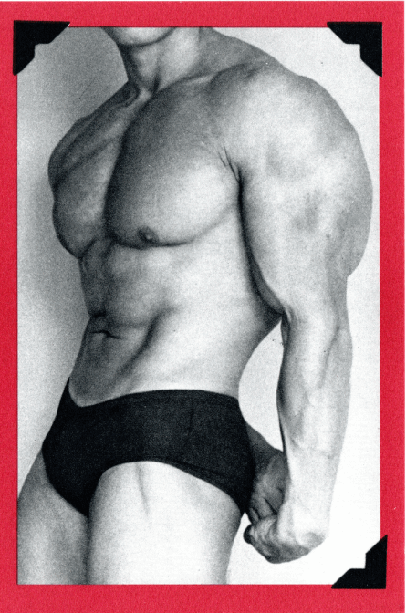 Muscular torso